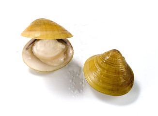 Wird Viagra von den meisten Versicherungen übernommen?